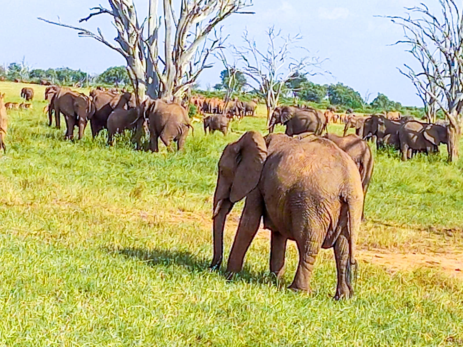 WhatsApp-Image-2023-11-02-at-11.04d