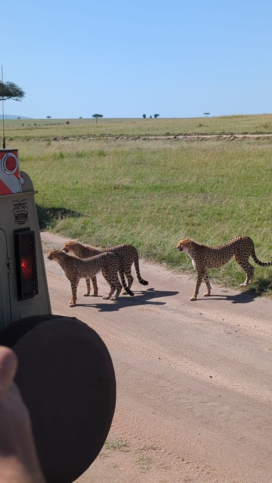 WhatsApp Image 2025-11-01 at 07.33.36_39f4cdd7