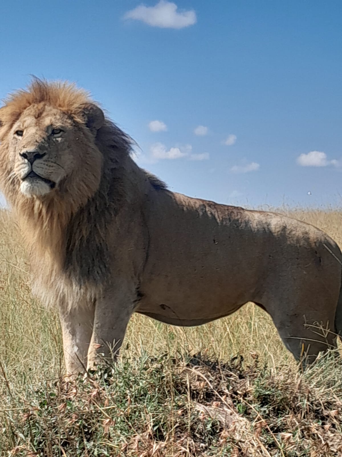 WhatsApp Image 2025-11-16 at 19.52.54